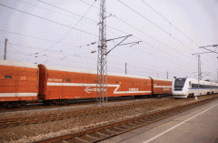 很多多少很多多少地道的美食